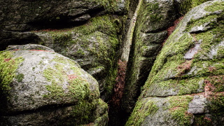 Basaltblock in der Rhön