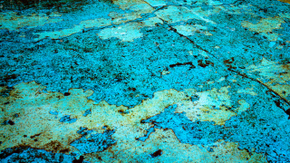 Badestelle in Blau