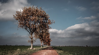 von Argestorf nach Sorsum