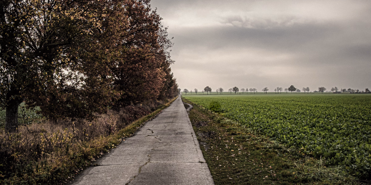 Feldweg zwischen Degersen und Gehrden