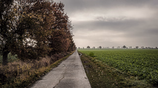 Feldweg zwischen Degersen und Gehrden