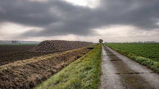 Calenberger Herbst mit Rübenberg, Feldweg bei Leveste