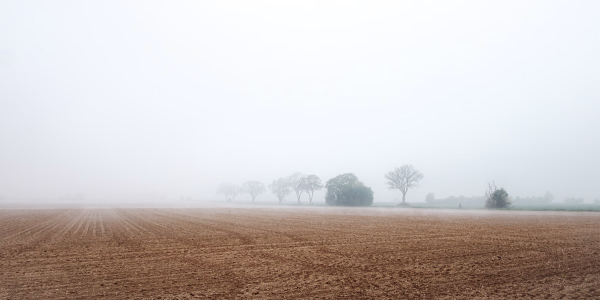 Felder bei Everloh im Nebel