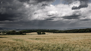 Getreidefelder am Nordhang des Süntel, schwere Regenwolken ziehen über den Himmel, die sich zum Teil in der Ferne abgregnen.