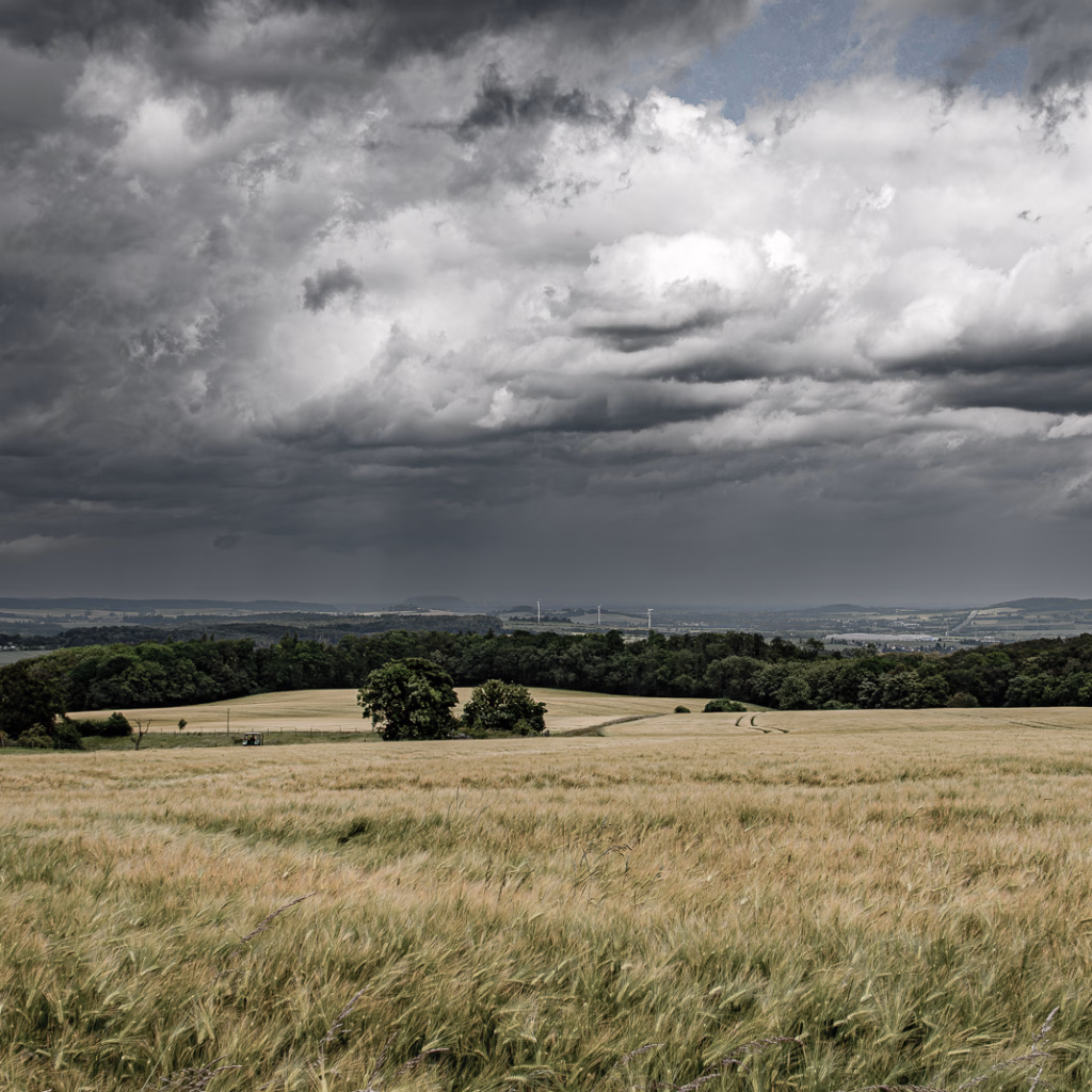 Getreidefelder am Nordhang des Süntel, schwere Regenwolken ziehen über den Himmel, die sich zum Teil in der Ferne abgregnen.