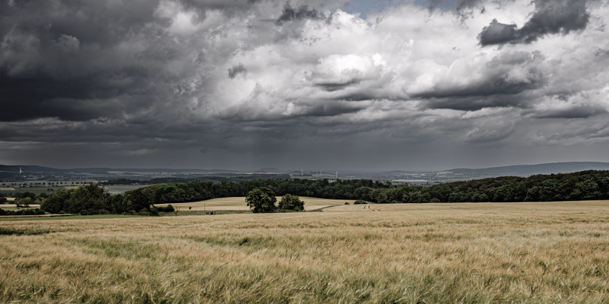 Getreidefelder am Nordhang des Süntel, schwere Regenwolken ziehen über den Himmel, die sich zum Teil in der Ferne abgregnen.