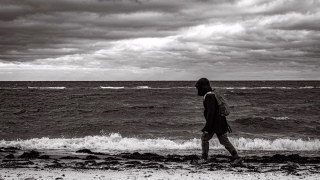 Strandwanderung bei Maasholm / Gut Oehe