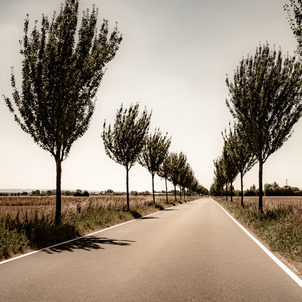 Allee in der Hävener Marsch, Mittelweser