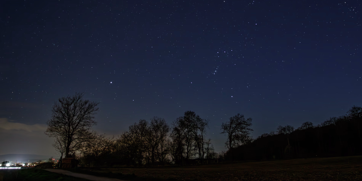Nachthimmel über dem Benther Berg. Sirius und Orion stehen im Süden. Bäume im Vordergrund und die Lichter von Gehrden am Horizont.