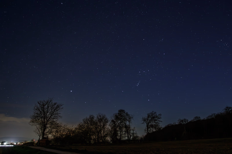 Nachthimmel über dem Benther Berg. Sirius und Orion stehen im Süden. Bäume im Vordergrund und die Lichter von Gehrden am Horizont.