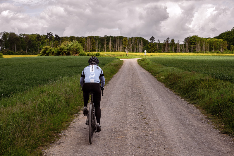 Ein zur Bildmitte laufender Feldweg mit Radsportlerin von hinten. Alles im Schatten der Wolken. Im Hintergrund der sonnig beschienene Waldrad, mit grünen und toten Bäumen, sowie ein Rapsfeld.