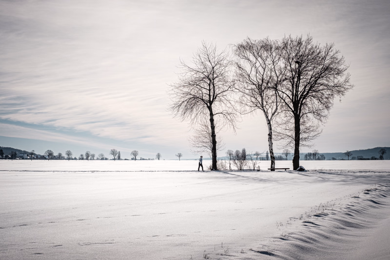 Winter, Schnee - Bäume - Wanderer bei Lenthe